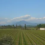 Otel Mio Lazise